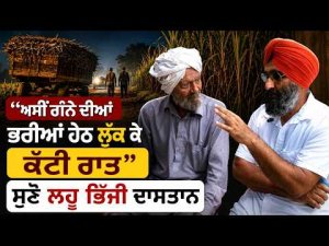 A Blood-Soaked Untold Story | ‘‘ਅਸੀਂ ਗੰਨੇ ਦੀਆਂ ਭਰੀਆਂ ਹੇਠ ਲੁੱਕ ਕੇ ਕੱਟੀ ਰਾਤ’’