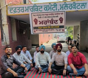 ਮਾਰਕਿਟ ਕਮੇਟੀ ਮਲੇਰਕੋਟਲਾ ਦੇ ਮੁਲਾਜ਼ਮਾਂ ਵਲੋਂ ਪ੍ਰਦਰਸ਼ਨ