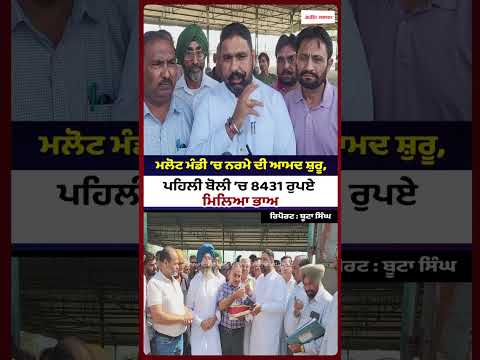 First Cotton Auction Held in Malout