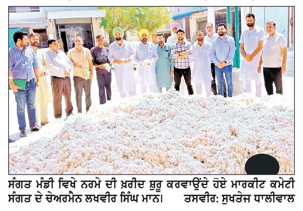 ਸੰਗਤ ਮੰਡੀ ’ਚ ਵਿਕਣ ਲਈ ਆਇਆ ਚਿੱਟਾ ਸੋਨਾ ਚੇਅਰਮੈਨ ਲਖਵੀਰ ਸਿੰਘ ਮਾਨ ਨੇ ਰਸ਼ਮੀ ਤੌਰ ’ ਤੇ ਕਰਵਾਈ ਨਰਮੇ ਦੀ ਖ਼ਰੀਦ ਦੀ ਸ਼ੁਰੂਆਤ