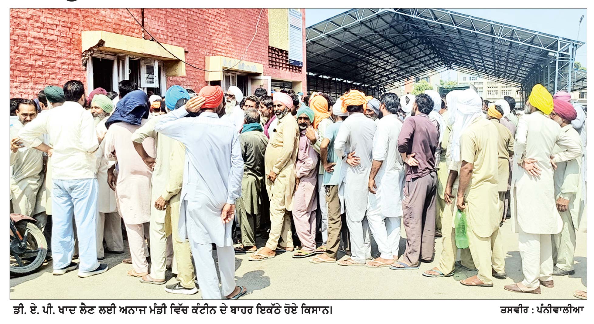 ਡੀ. ਏ. ਪੀ. ਖਾਦ ਦੀ ਉਡੀਕ ਕਰ ਰਹੇ ਕਿਸਾਨਾਂ ਦੀਆਂ ਲੰਬੀਆਂ ਲਾਈਨਾਂ ਜਾਰੀ