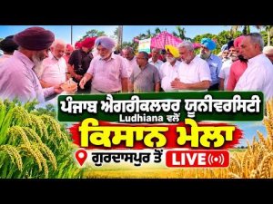 PAU Ludhiana Farmer Fair Live | ਪੰਜਾਬ ਐਗਰੀਕਲਚਰ ਯੂਨੀਵਰਸਿਟੀ ਲੁਧਿਆਣਾ ਵਲੋਂ ਕਿਸਾਨ ਮੇਲਾ ਗੁਰਦਾਸਪੁਰ ਤੋਂ ਲਾਈਵ