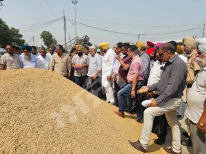 ਕੈਬਨਿਟ ਮੰਤਰੀ ਲਾਲ ਚੰਦ ਕਟਾਰੂਚੱਕ ਨੇ ਕੀਤਾ ਨਵੀਂ ਦਾਣਾ ਮੰਡੀ ਦਾ ਦੌਰਾ