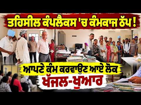 Work Stopped At Tehsil Complex : ਤਹਿਸੀਲ ਕੰਪਲੈਕਸ 'ਚ ਕੰਮਕਾਜ ਠੱਪ !