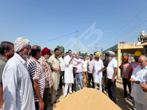 ਵਿਧਾਇਕ ਜਗਦੀਪ ਕੰਬੋਜ ਗੋਲਡੀ ਨੇ ਝੋਨੇ ਦੀ ਸਰਕਾਰੀ ਖ਼ਰੀਦ ਕਰਵਾਈ ਸ਼ੁਰੂ