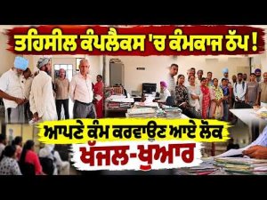 Work Stopped At Tehsil Complex : ਤਹਿਸੀਲ ਕੰਪਲੈਕਸ 'ਚ ਕੰਮਕਾਜ ਠੱਪ !