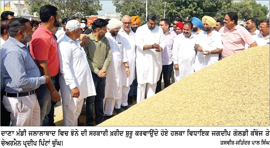 ਵਿਧਾਇਕ ਗੋਲਡੀ ਕੰਬੋਜ ਨੇ ਦਾਣਾ ਮੰਡੀ ਜਲਾਲਾਬਾਦ ’ਚ ਝੋਨੇ ਦੀ ਖ਼ਰੀਦ ਸ਼ੁਰੂ ਕਰਵਾਈ
