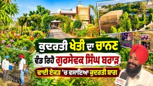 ਕੁਦਰਤੀ ਖੇਤੀ ਦਾ ਚਾਨਣ ਵੰਡ ਰਿਹੈ ਗੁਰਸੇਵਕ ਸਿੰਘ ਬਰਾੜ, ਢਾਈ ਏਕੜ ’ਚ ਵਸਾਇਆ ਕੁਦਰਤੀ ਬਾਗ
