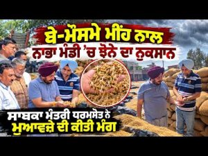 ਬੇ-ਮੌਸਮੇ ਮੀਂਹ ਨਾਲ ਨਾਭਾ ਮੰਡੀ ’ਚ ਝੋਨੇ ਦਾ ਨੁਕਸਾਨ, ਸਾਬਕਾ ਮੰਤਰੀ ਧਰਮਸੋਤ ਨੇ ਮੁਆਵਜ਼ੇ ਦੀ ਕੀਤੀ ਮੰਗ