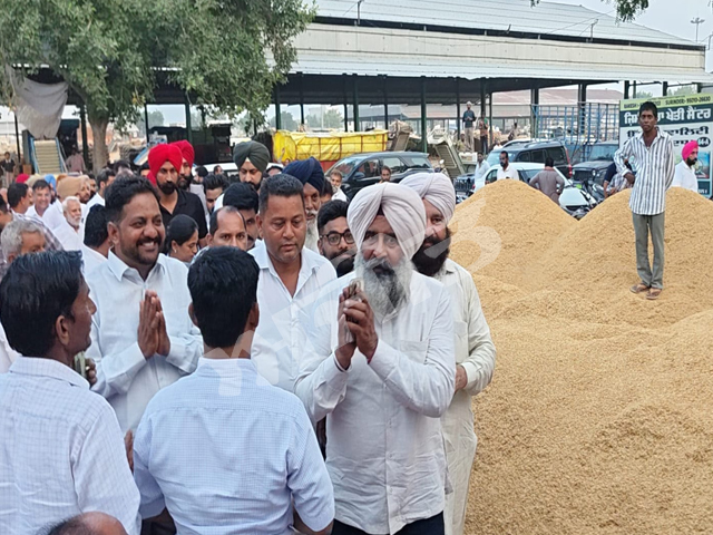 ਪਰਗਟ ਸਿੰਘ ਵਲੋਂ ਝੋਨੇ ਦੀ ਫ਼ਸਲ ਦੇ ਨੁਕਸਾਨ ਲਈ ਕਿਸਾਨਾਂ ਵਾਸਤੇ 80 ਹਜ਼ਾਰ ਰੁਪਏ ਪ੍ਰਤੀ ਏਕੜ ਮੁਆਵਜ਼ੇ ਦੀ ਮੰਗ