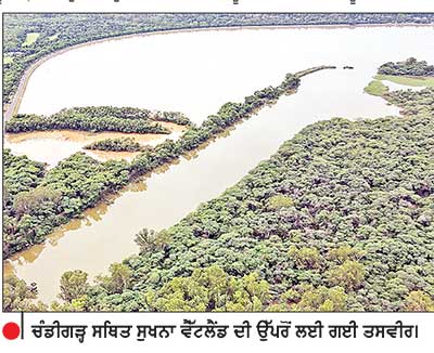 ਸੁਖਨਾ ਵੈੱਟਲੈਂਡ ਨੂੰ ਮਿਲਿਆ ਕੌਮਾਂਤਰੀ ਰੁਤਬਾ ਅੰਤਰਰਾਸ਼ਟਰੀ ਰਾਮਸਰ ਸੂਚੀ ’ਚ ਸ਼ਾਮਿਲ