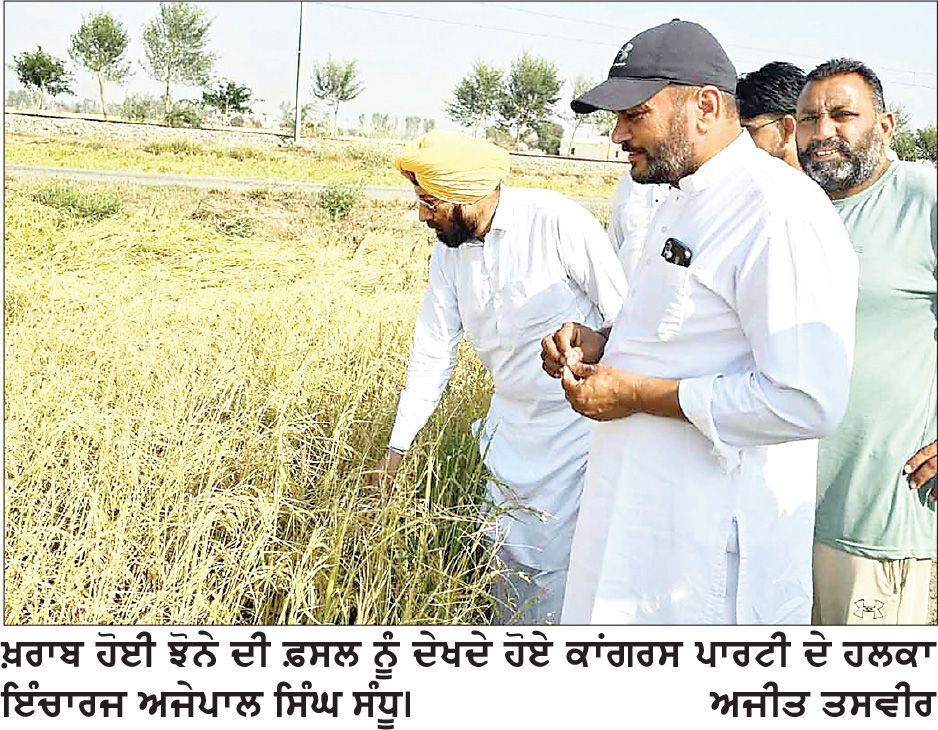 ਵਾਂਦਰ ਜਟਾਣਾ ’ਚ ਮੀਂਹ ਤੇ ਗੜੇਮਾਰੀ ਕਾਰਨ ਫ਼ਸਲਾਂ ਦਾ ਭਾਰੀ ਨੁਕਸਾਨ