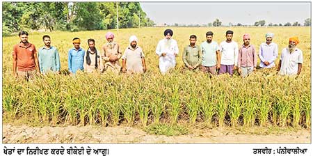 ਫਸਲ ਰਜਿਸਟਰੇਸ਼ਨ ਅਤੇ ਤਸਦੀਕ ਦੇ ਨਾਂਅ ’ਤੇ ਕਿਸਾਨਾਂ ਨੂੰ ਪ੍ਰੇਸ਼ਾਨ ਕਰਨਾ ਬੰਦ ਕਰੇ ਸਰਕਾਰ- ਔਲਖ